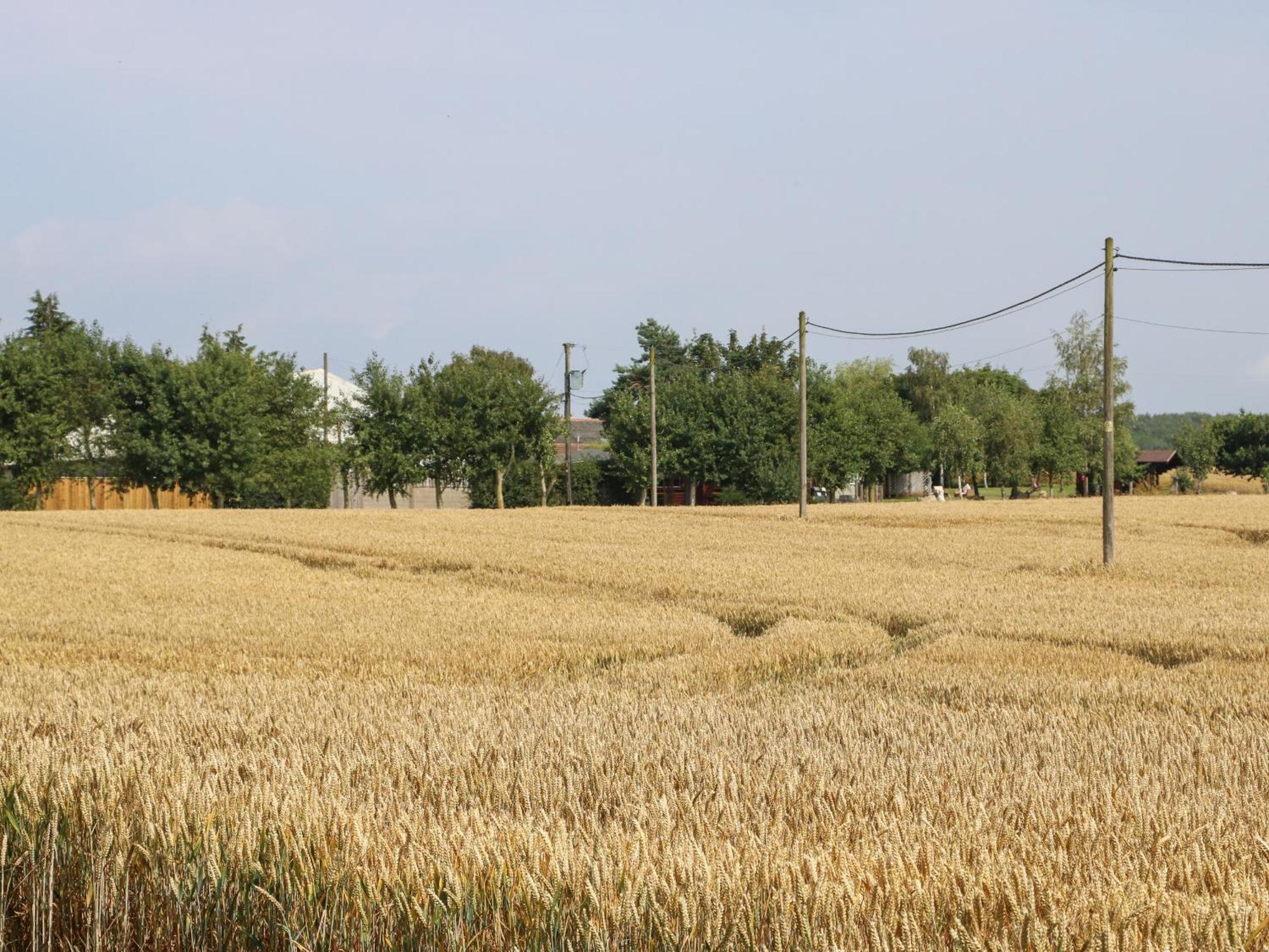 Cornfield Villa Northallerton Eksteriør bilde