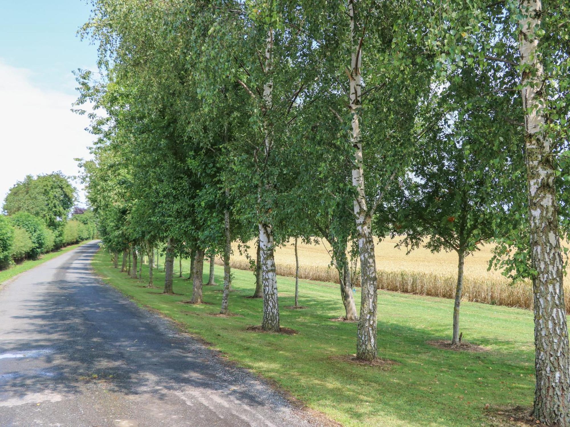 Cornfield Villa Northallerton Eksteriør bilde